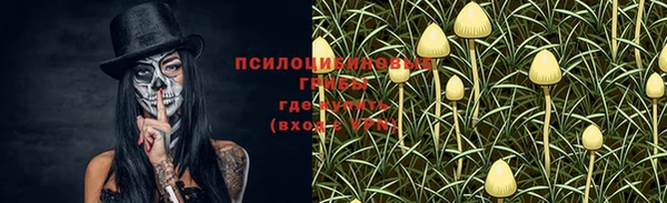 МДМА Лагань