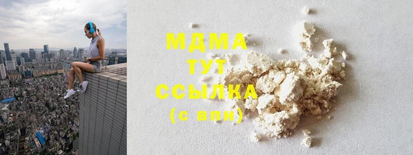 индика Кулебаки