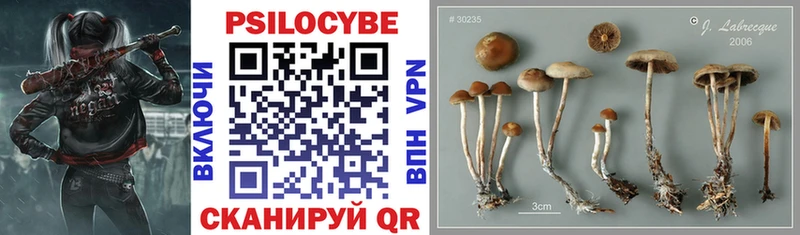Псилоцибиновые грибы Psilocybine cubensis  OMG ТОР  Сосногорск  закладки 