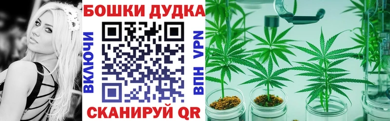 Бошки Шишки план  МЕГА маркетплейс  Сосногорск 